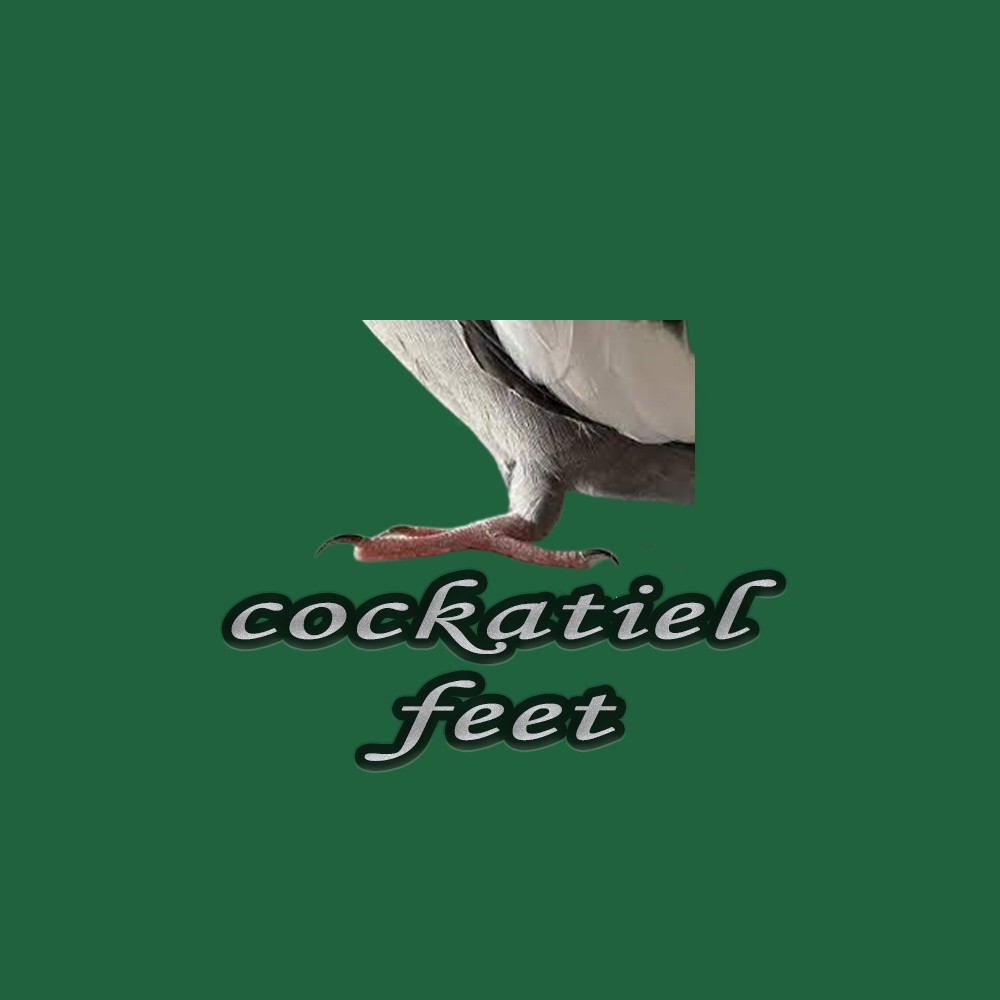 cockatiel feet